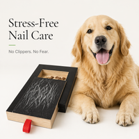 Furli Nail Scratch Board™