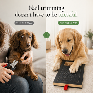 Furli Nail Scratch Board™